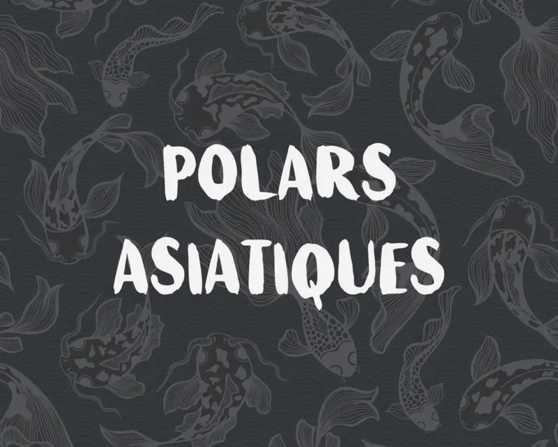 Polars asiatiques