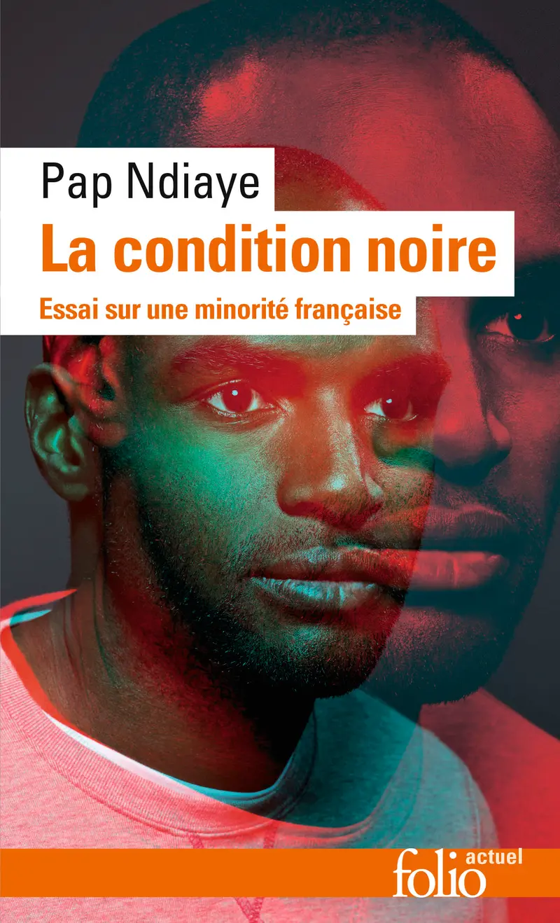 La condition noire - Pap Ndiaye