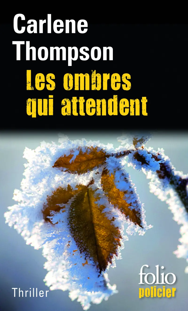 Les ombres qui attendent - Carlene Thompson