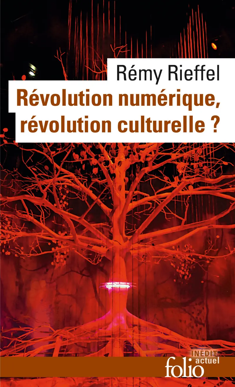 Révolution numérique, révolution culturelle? - Rémy Rieffel