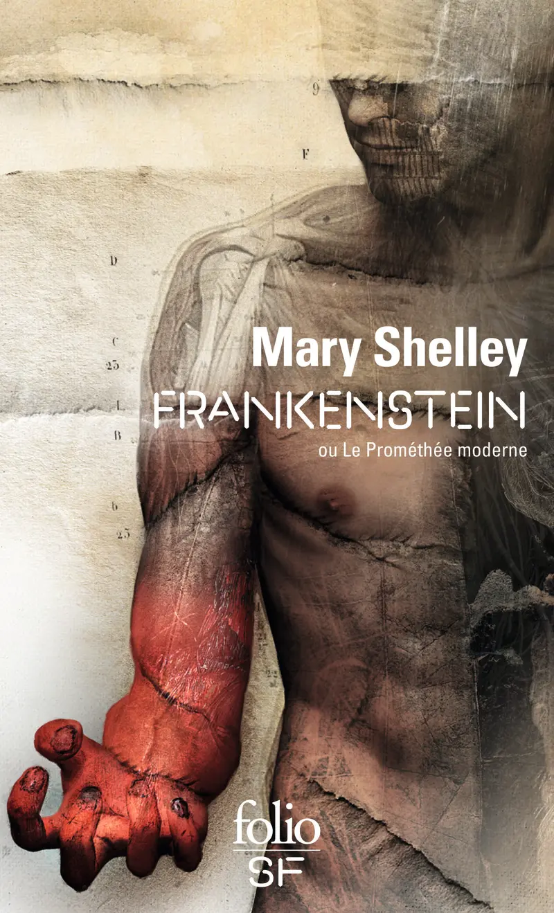 Frankenstein ou Le Prométhée moderne - Mary Shelley