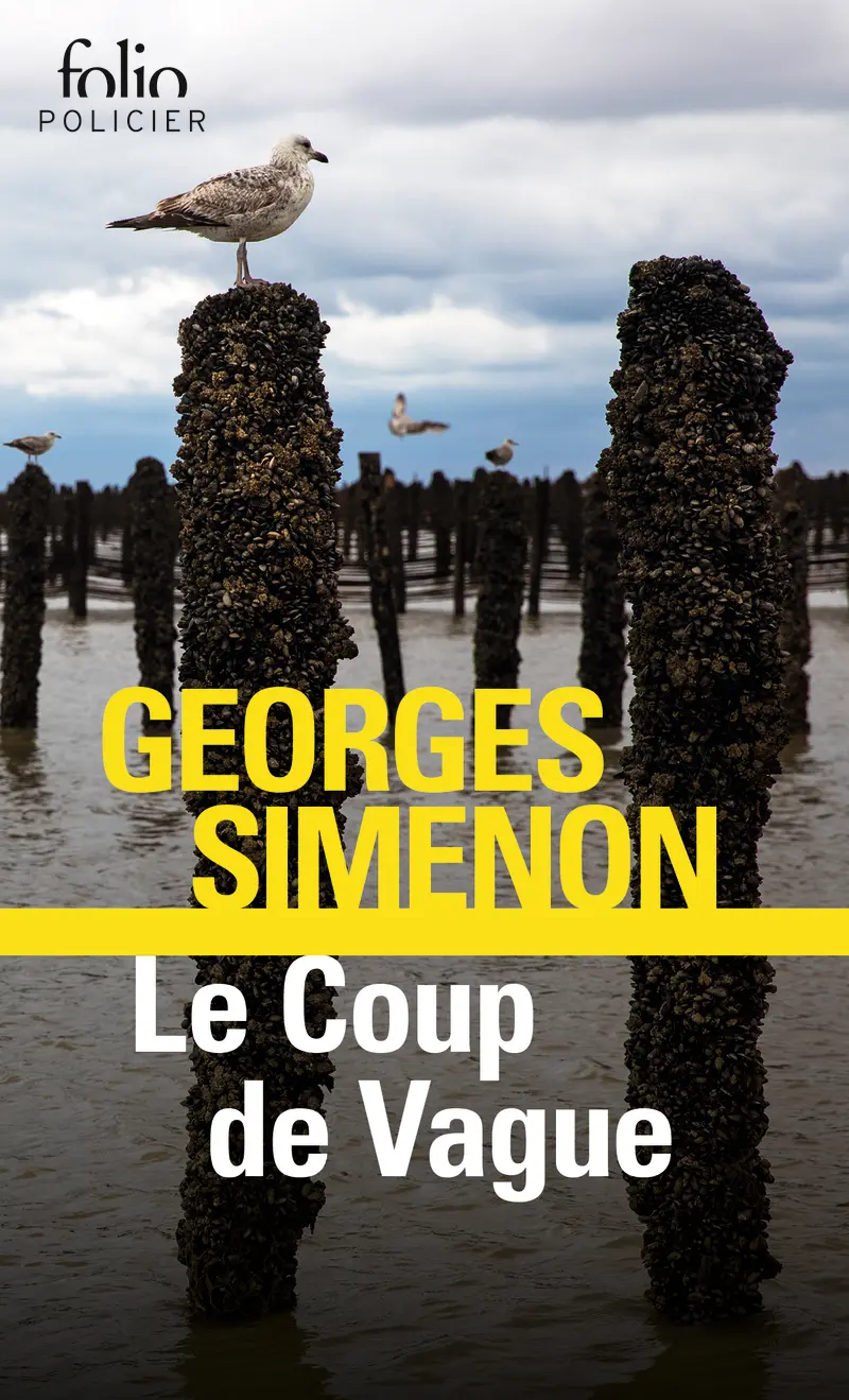 Le Coup de Vague - Georges Simenon