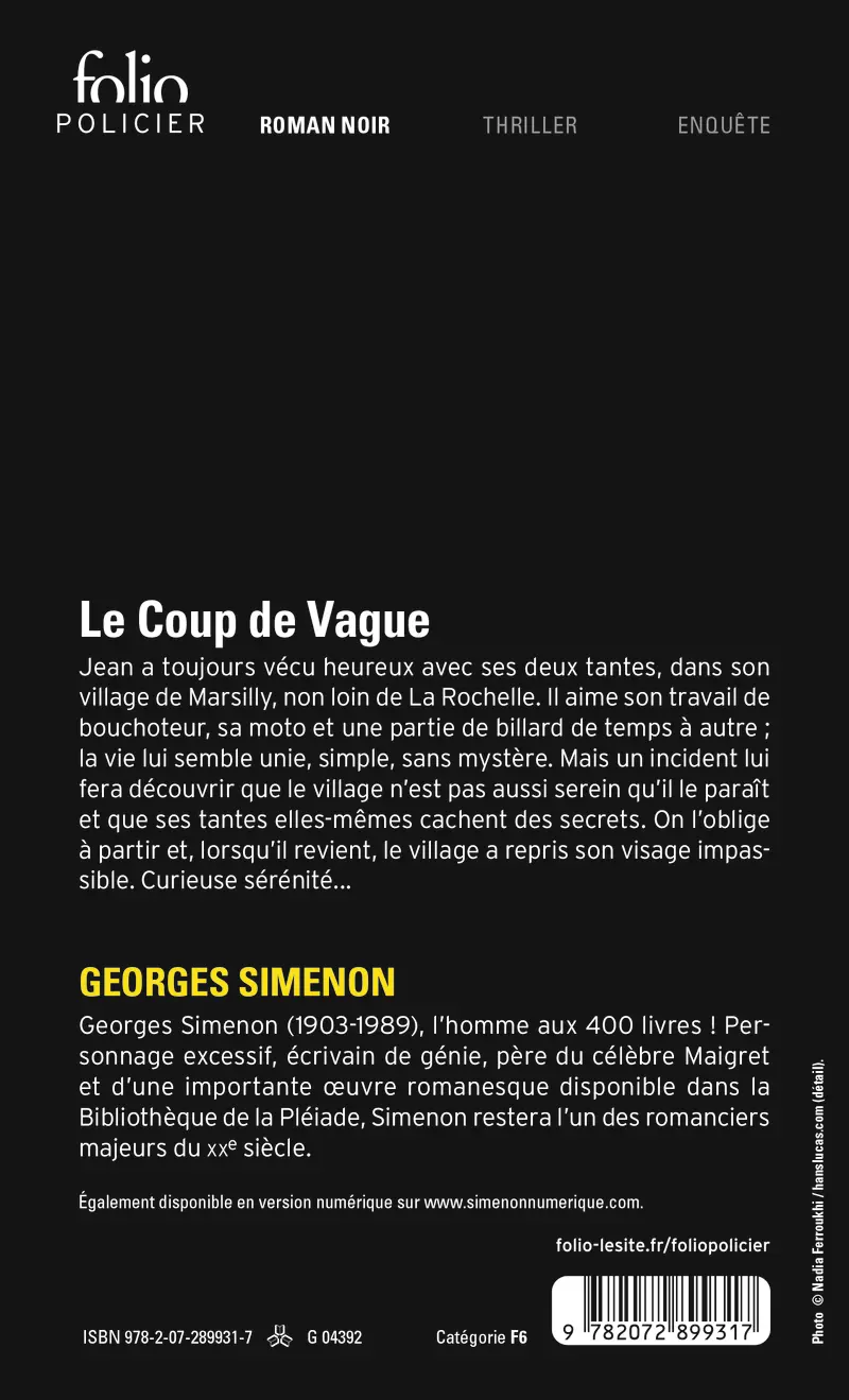 Le Coup de Vague - Georges Simenon