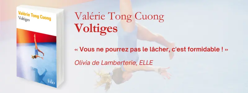 Voltiges
