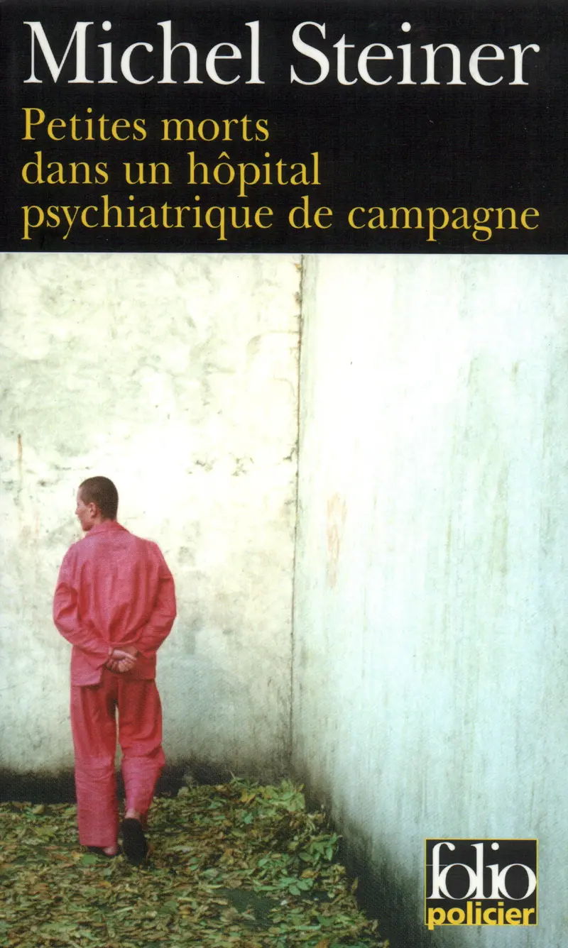 Petites morts dans un hôpital psychiatrique de campagne - Michel Steiner