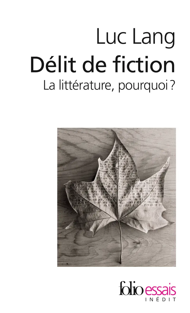 Délit de fiction - Luc Lang