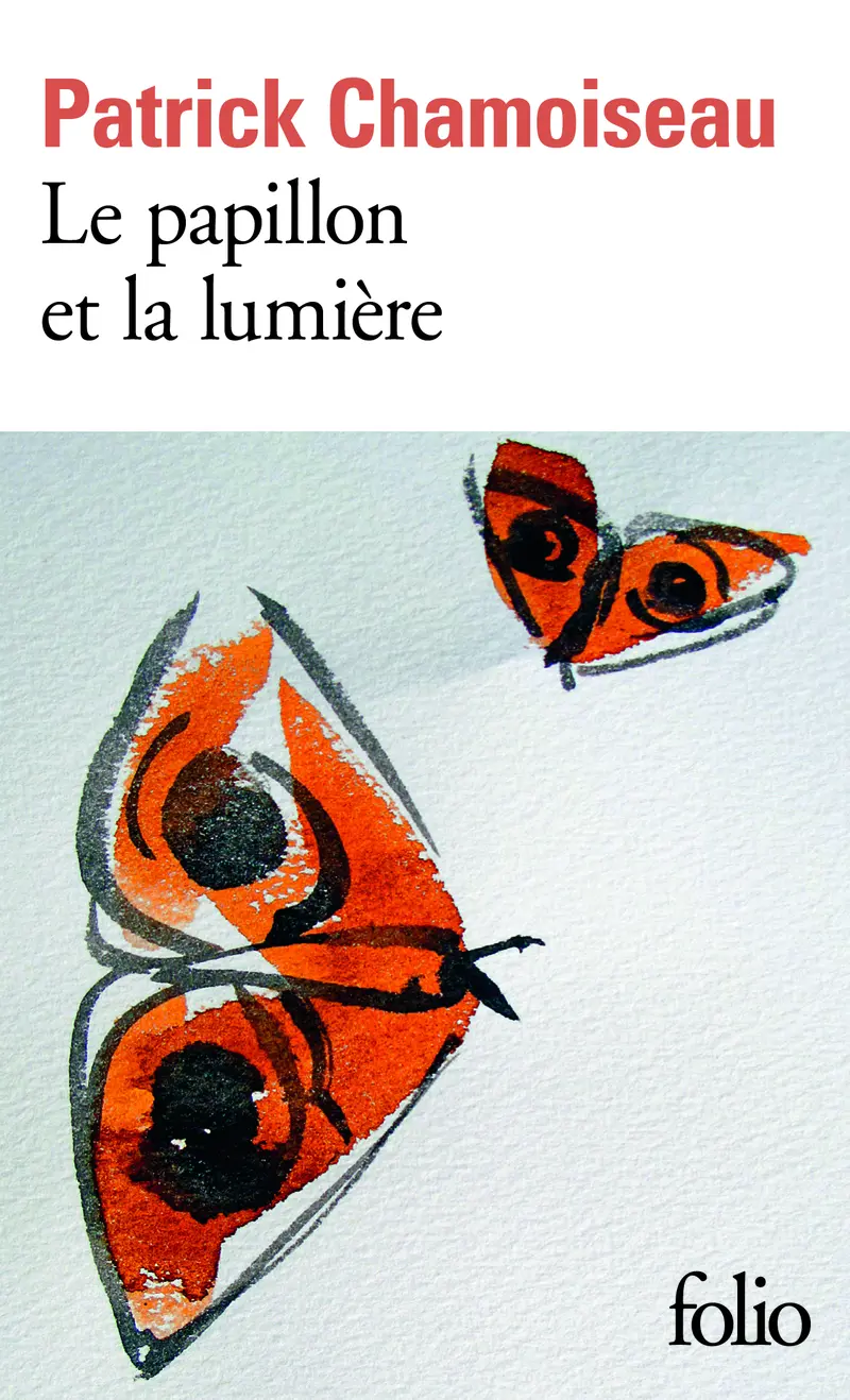 Le papillon et la lumière - Patrick Chamoiseau - Ianna Andreadis