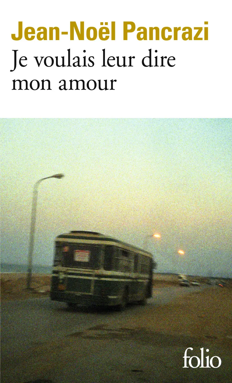 Je voulais leur dire mon amour - Jean-Noël Pancrazi