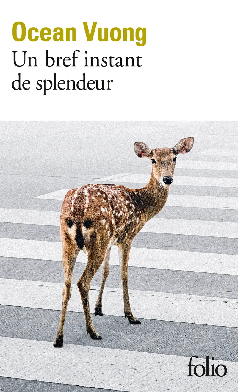 Un bref instant de splendeur - Ocean Vuong Un bref instant de splendeur - Ocean Vuong
