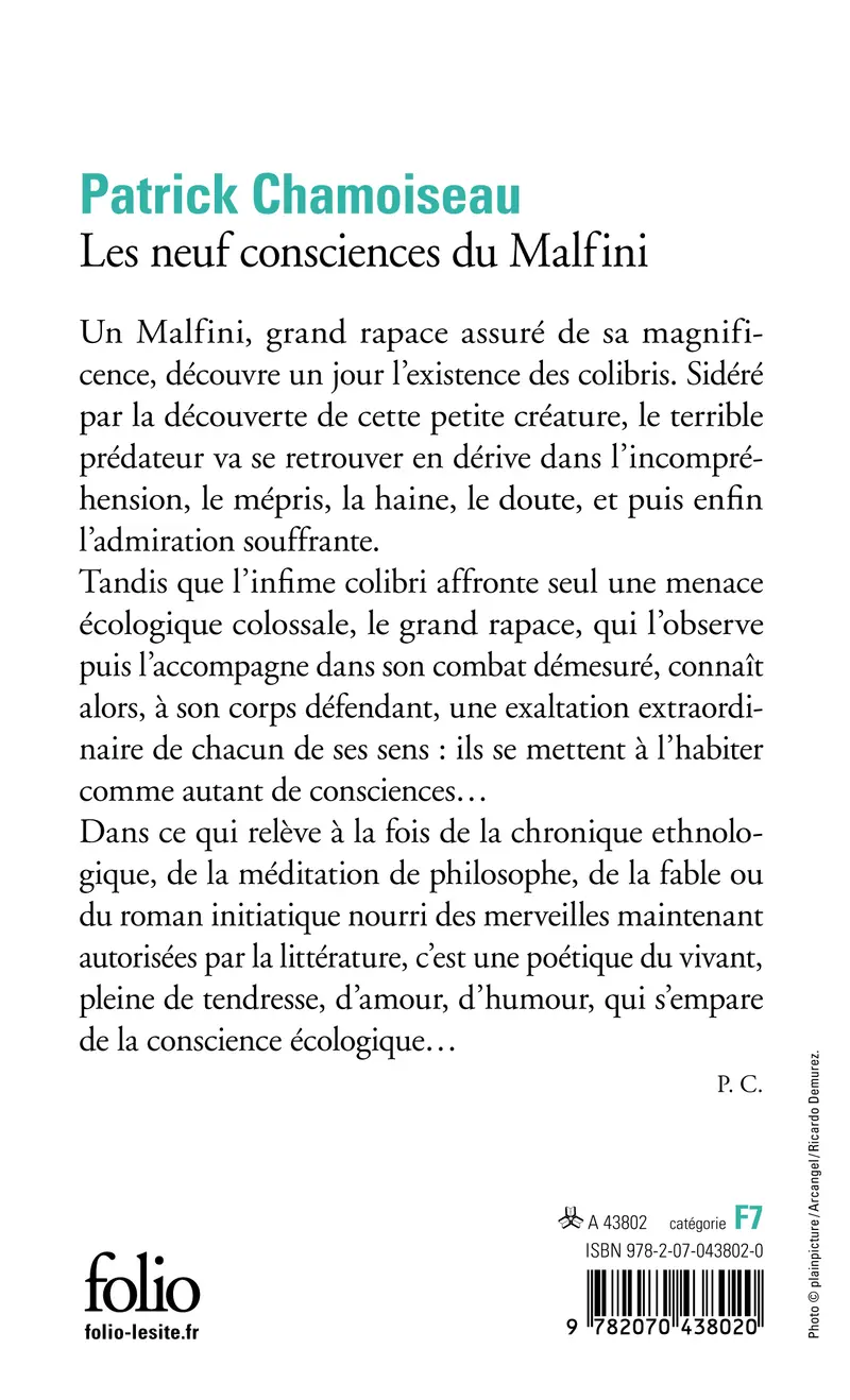 Les neuf consciences du Malfini - Patrick Chamoiseau