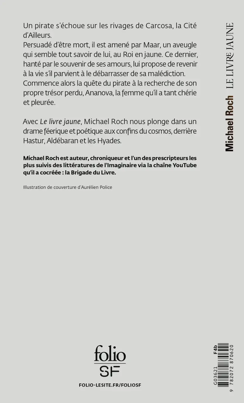 Le livre jaune - Michael Roch
