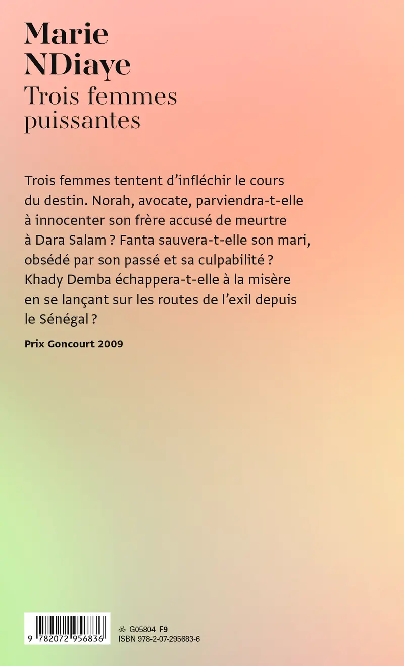 Trois femmes puissantes - Marie NDiaye