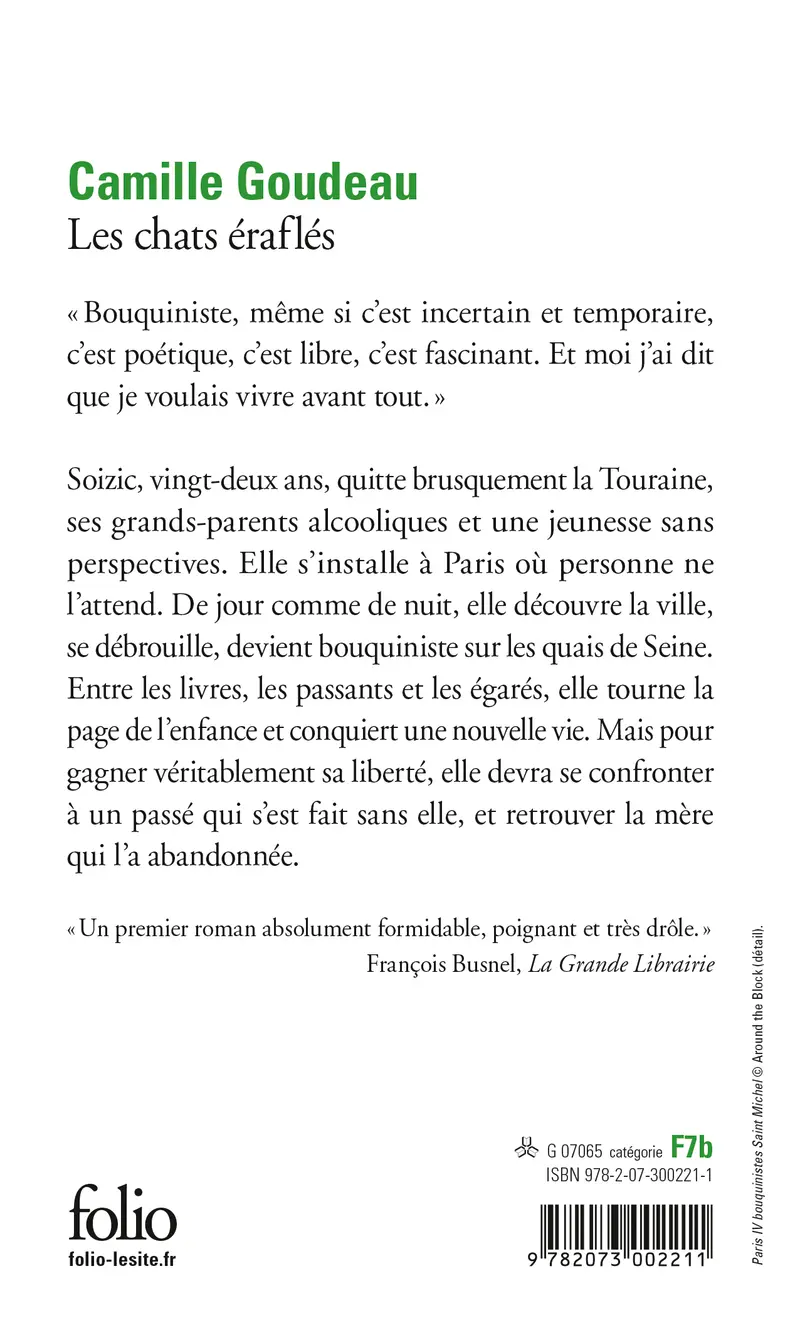 Les chats éraflés - Camille Goudeau