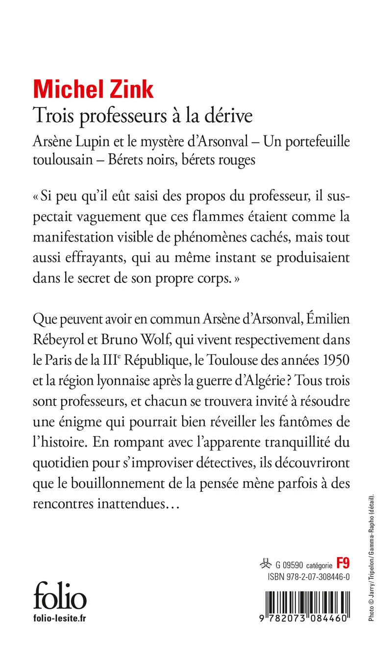 Trois professeurs à la dérive - Michel Zink